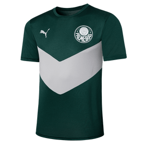 Camisa Palmeiras 23/24 Aquecimento