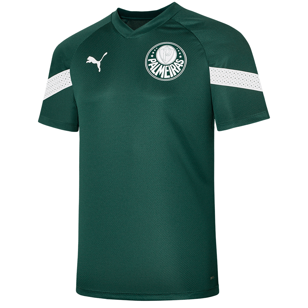 Camisa Palmeiras 23/24 Treino Verde