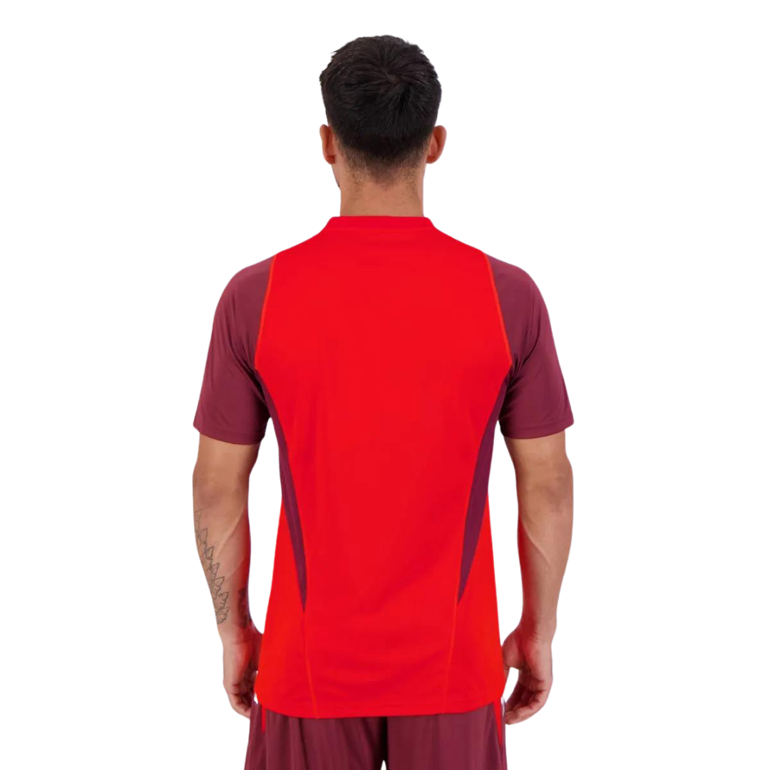 Camisa Internacional 2024/25 Treino