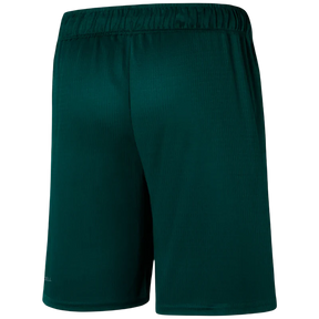 Short Palmeiras 2023/24 Home