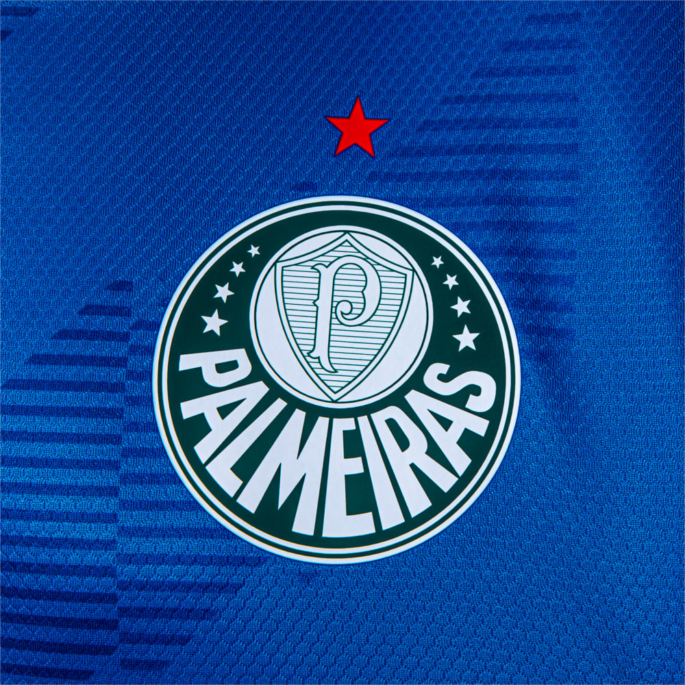 Camisa Palmeiras Goleiro 23/24 Azul