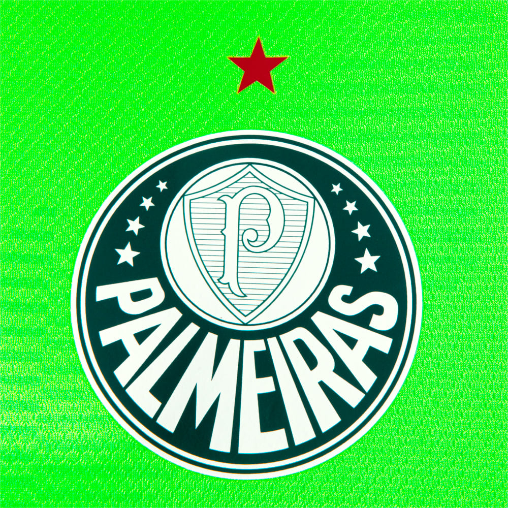 Camisa Palmeiras Goleiro 23/24 Verde Limão