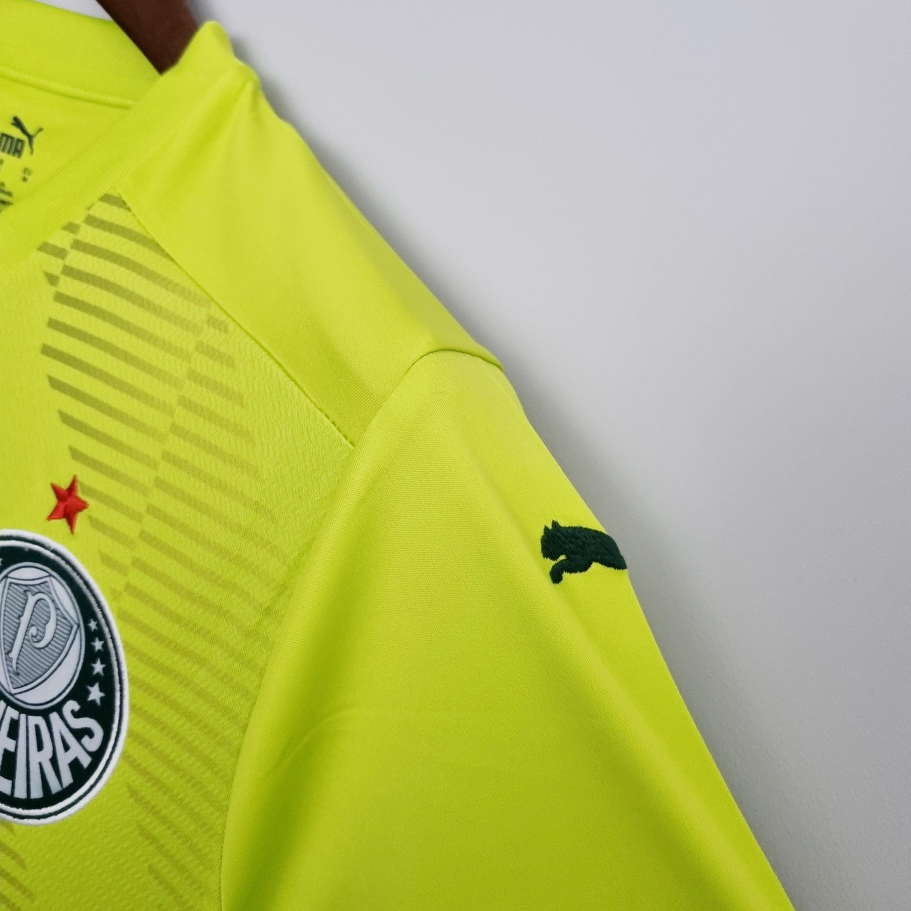 Camisa SE Palmeiras 2022/23 Goleiro Verde - ResPeita Sports